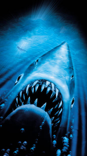 Closed-up Jaws Shark Wallpaper