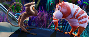 Cloudy With A Chance Of Meatballs 2 Steve And Shrimpanzee Wallpaper