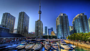 Cn Tower Waterfront Toronto Wallpaper