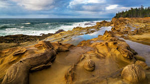 Coastal Beach Rocks Wallpaper