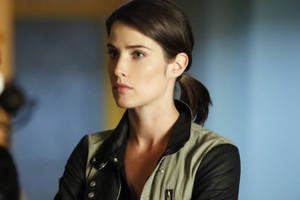 Cobie Smulders As Maria Hill In Agents Of Shield Wallpaper