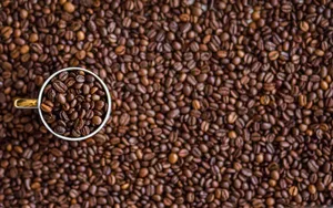 Coffee Beans On Mug Wallpaper