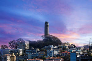 Coit Tower And Cotton Candy Skies Wallpaper