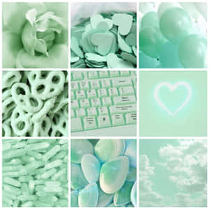 Collage Cute Mint Green Aesthetic Wallpaper