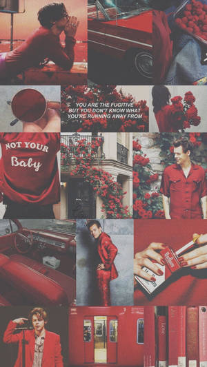 Collage Photo Of Harry Style Aesthetic Wallpaper