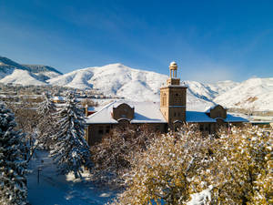 Colorado School Of Mines Evergreens Wallpaper