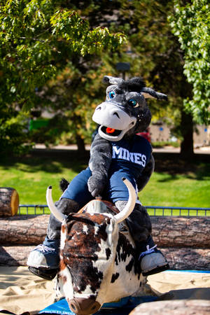 Colorado School Of Mines Mascot Riding Wallpaper