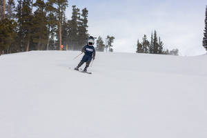 Colorado School Of Mines Skiing Mascot Wallpaper