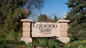 Colorado State University Flagship University Wallpaper