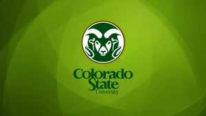 Colorado State University Football Logo Wallpaper