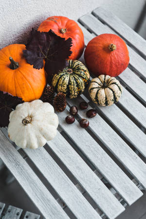 Colored Rustic Fall Pumpkins Wallpaper