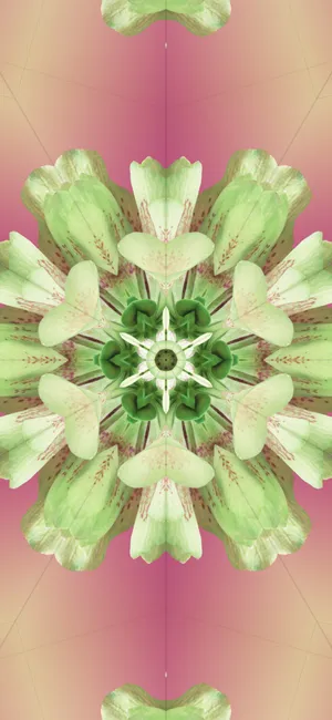 Colorful Abstract Ios 17 Wallpaper Wallpaper