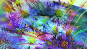 Colorful Abstract Spring Flowers Wallpaper