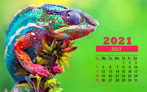 Colorful Chameleon July 2021 Calendar Wallpaper