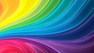 Colorful Curve Paths Wallpaper