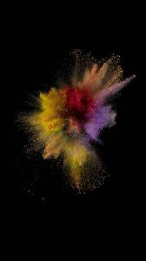 Colorful Explosionon Black Background Wallpaper