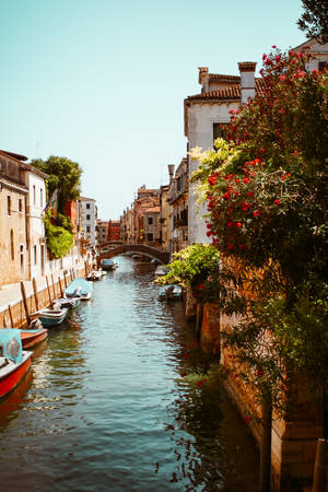 Colorful Grand Canal Old Iphone Wallpaper