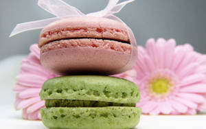 Colorful Macaron Desserts Wallpaper