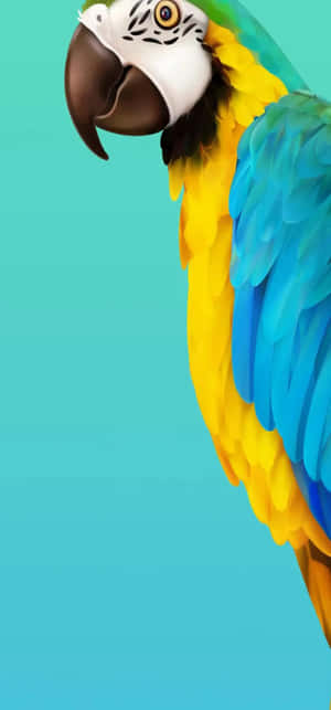 Colorful Macaw Portrait Wallpaper