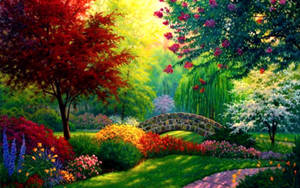 Colorful Nature Scenery Wallpaper