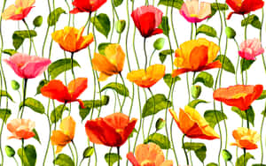 Colorful Poppies Pattern Wallpaper