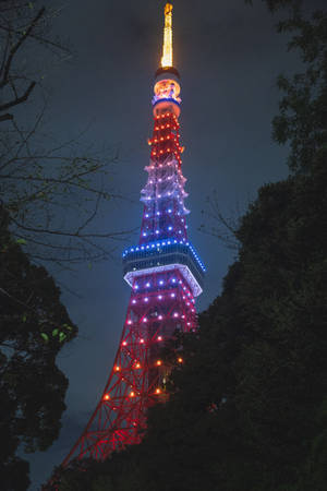 Colorful Tokyo Tower Illumination Wallpaper