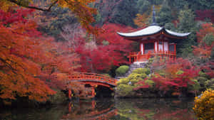 Colorful Traditional Fans And Lanterns Adorn A Beautiful Japanese Desktop Wallpaper