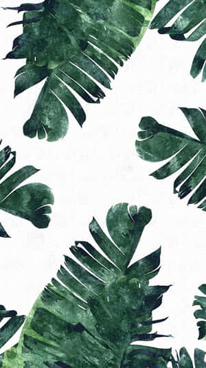 Colorful Tropical Leaves Wallpaper