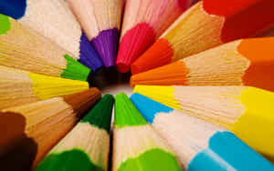 Colourful Pencils Wallpaper