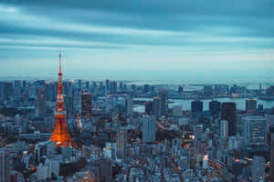 Comprehensive View Of Tokyo City In Japan Wallpaper