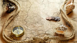 Comprehensive Vintage Treasure Map Wallpaper