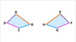 Congruent Points In White Wallpaper