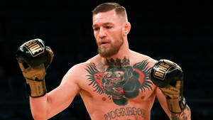 Conor Mcgregor Wearing Boxing Gloves Wallpaper