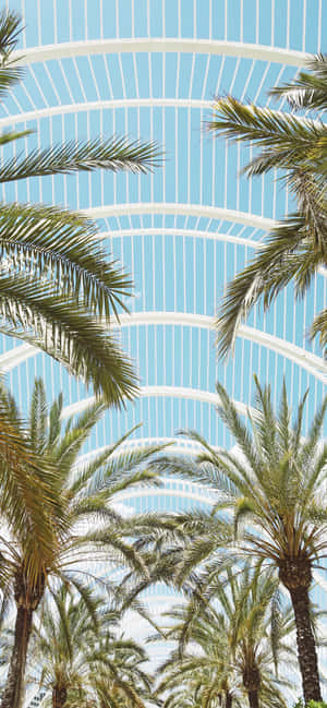 Contemporary Architecture Palm Trees Wallpaper