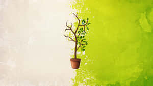 Contrasting Minimalist Plant Desktop Wallpaper
