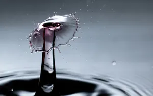 Cool 3d Water Forms Mushroom Wallpaper