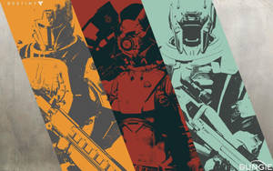 Cool And Epic Destiny Players Collage Wallpaper