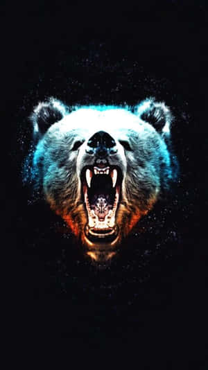 Cool Bear - Keeping Cool Is Always A Good Plan Wallpaper