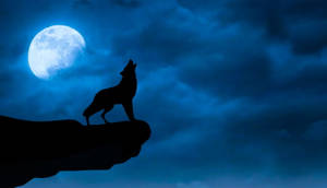 Cool Black Wolf Howling On Cliff Wallpaper
