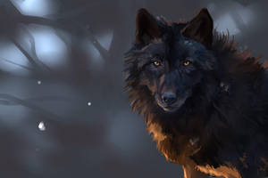 Cool Black Wolf In The Woods Wallpaper