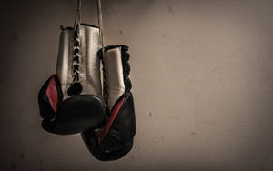 Cool Boxing Hanging Wallpaper