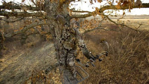 Cool Camouflaged Hunting Wallpaper