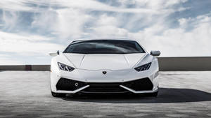 Cool Cars: White Slim Lamborghini Wallpaper