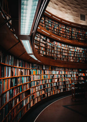 Cool Contemporary Library Wallpaper