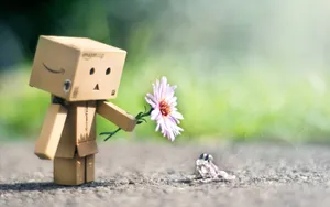 Cool Cute Boxman Wallpaper