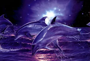 Cool Dolphins Purple Art Wallpaper