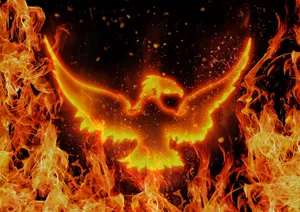 Cool Fire Bird Wallpaper