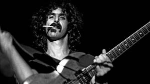 cool-frank-zappa-i1yzyphe43g2zdy7.jpg