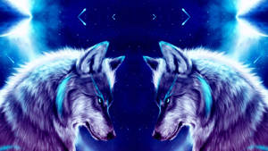 Cool Galaxy Wolf - Two Wolves Gazing At The Stars Wallpaper