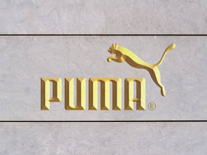 Cool Gold Puma Wallpaper